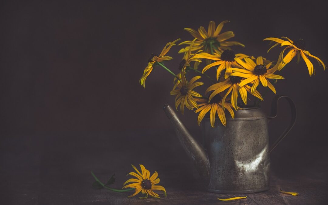 Vita e morte sullo stesso piano?