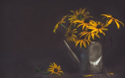 Vita e morte sullo stesso piano?