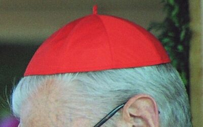 Il cardinale in prima fila