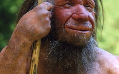 Evoluzione, una sfida incessante