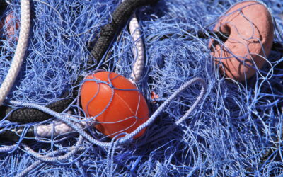 La chiamata di tre discepoli “fanatici”
