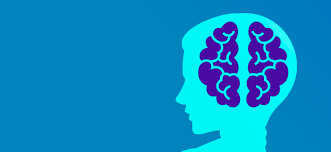 La mente è riducibile al cervello?