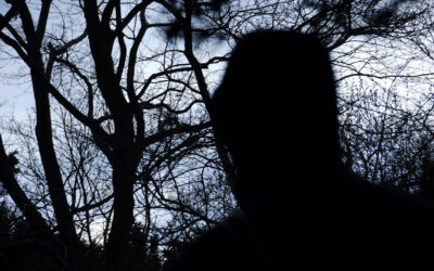 Per uscire dalla selva oscura
